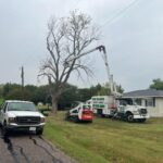 Speedy Tree Services Farmersville TX Tree Service