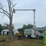 Speedy Tree Services Farmersville TX Tree Service