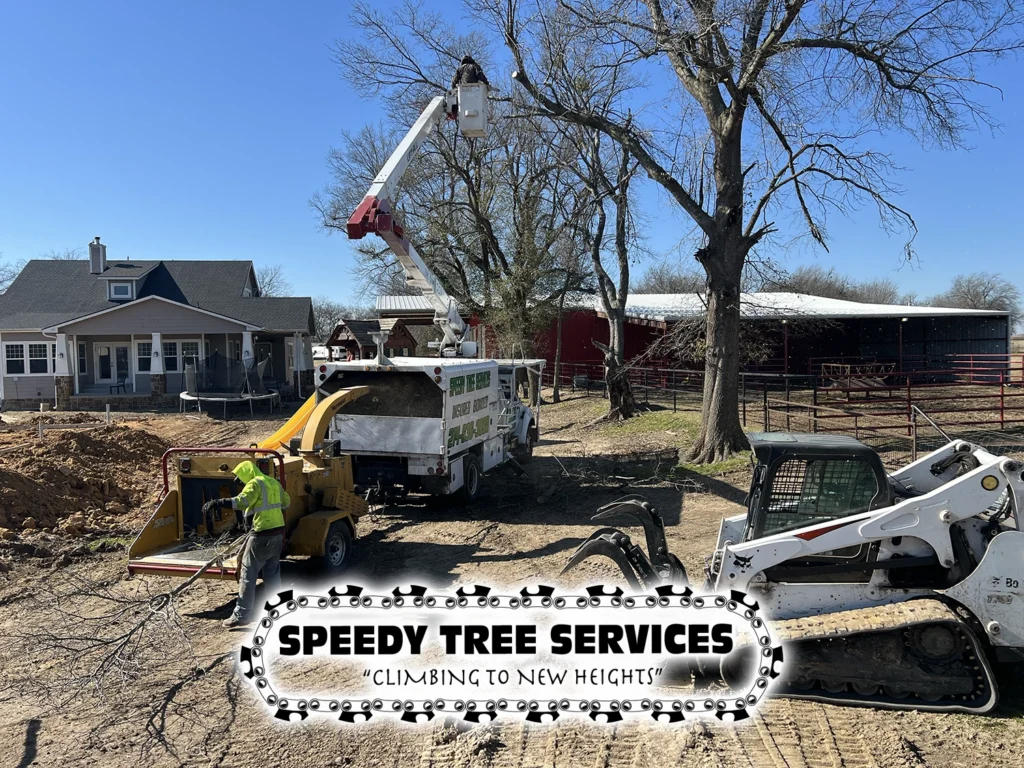 Speedy Tree Services Farmersville TX Total TreeRemoval