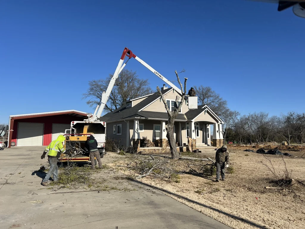 Speedy Tree Services Farmersville TX Total TreeRemoval