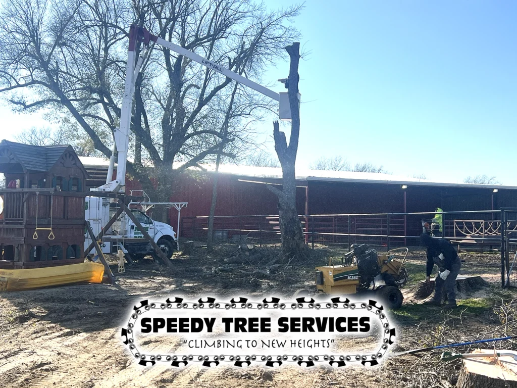 Speedy Tree Services Farmersville TX Total TreeRemoval