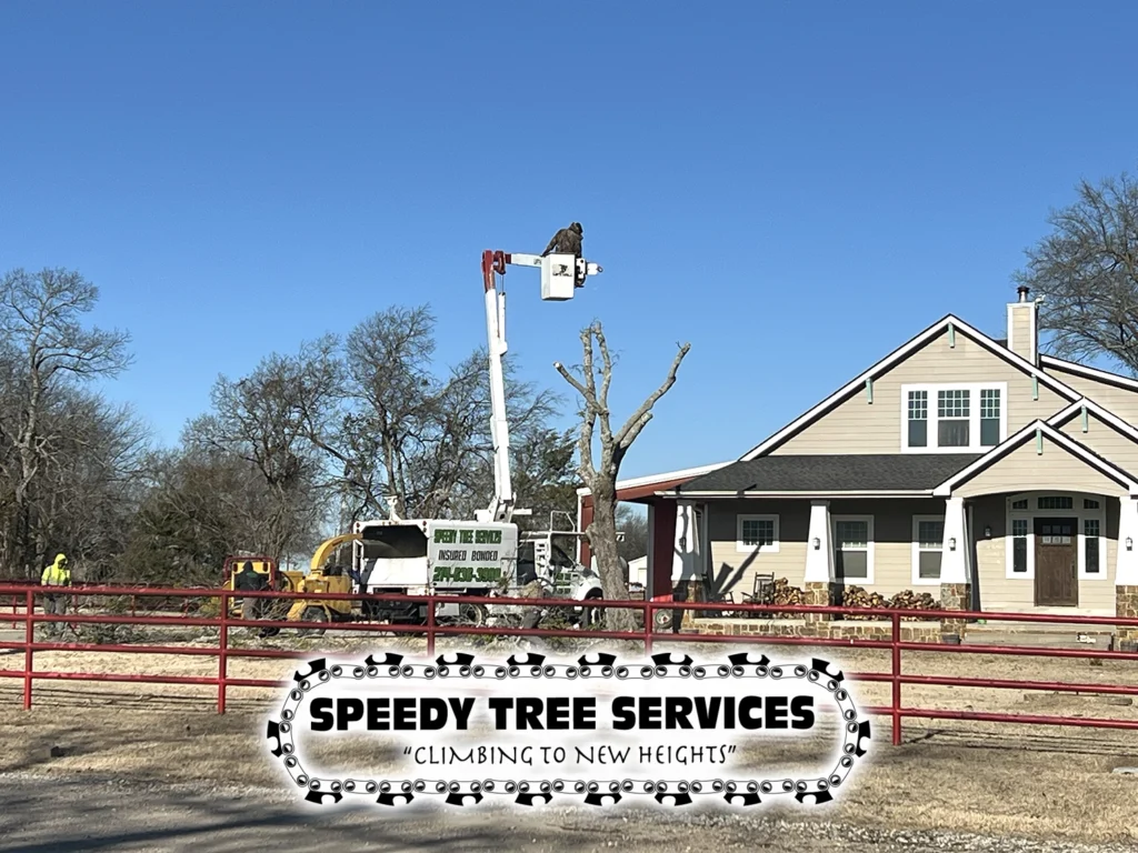 Speedy Tree Services Farmersville TX Total TreeRemoval