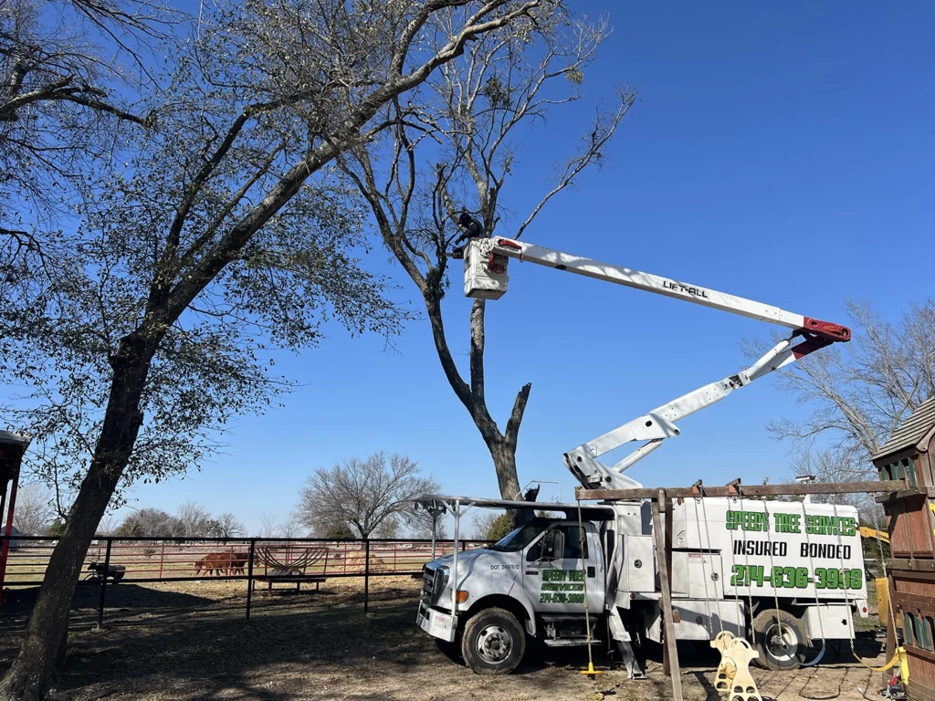 Speedy Tree Services Farmersville TX Total TreeRemoval