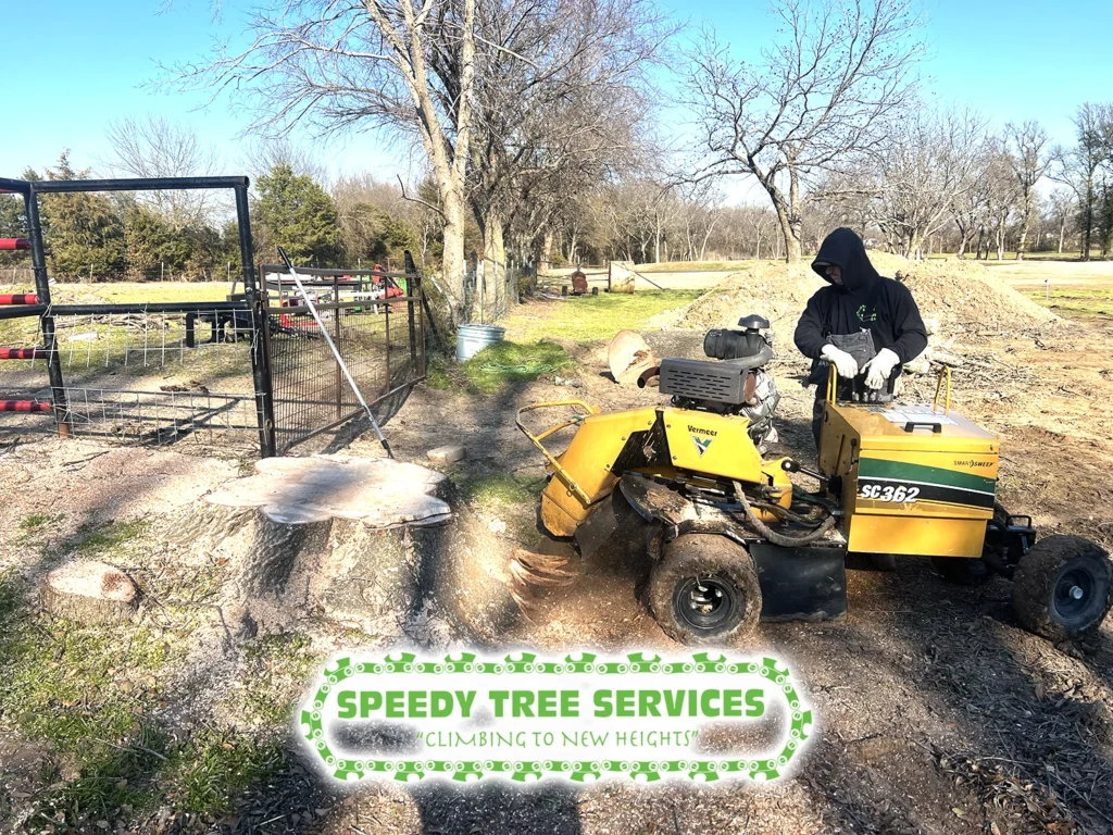 Speedy Tree Services Farmersville TX Total Stump Grinding