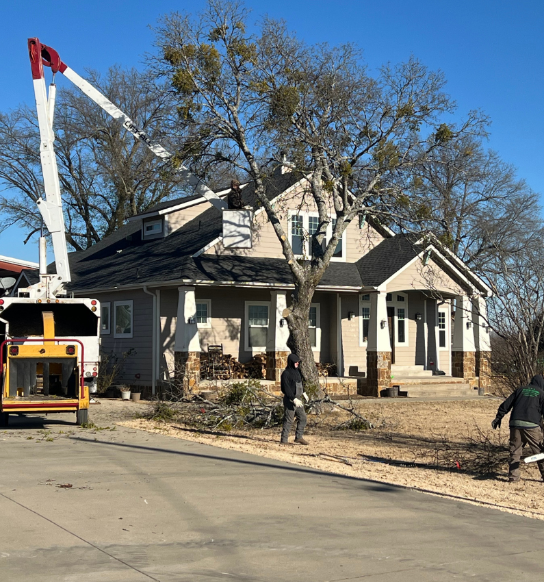 Speedy Tree Services Farmersville TX Total TreeRemoval