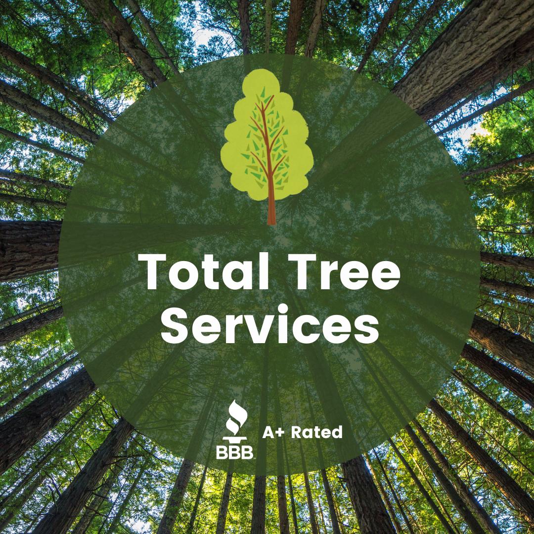 TOTAL TREE CARE SERVICES DFW