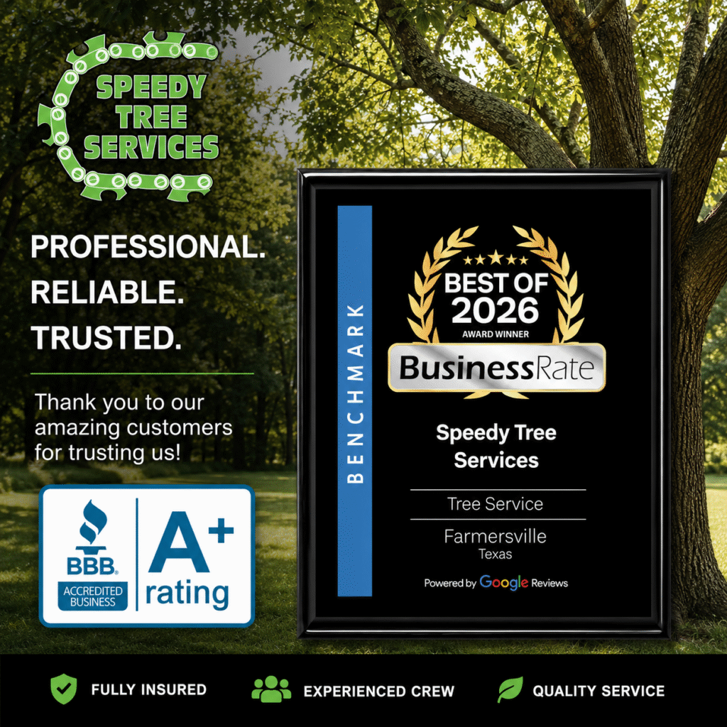 Speedy Tree Services Farmersville TX Award Winning Tree Company